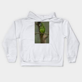 112418 Green Parrot Kids Hoodie